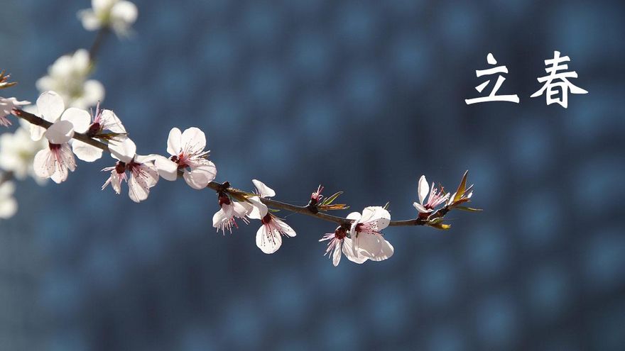 「立春」兔子正式開工！民俗專家建議犯太歲3生肖要「躲起來」　另曝5大開運法