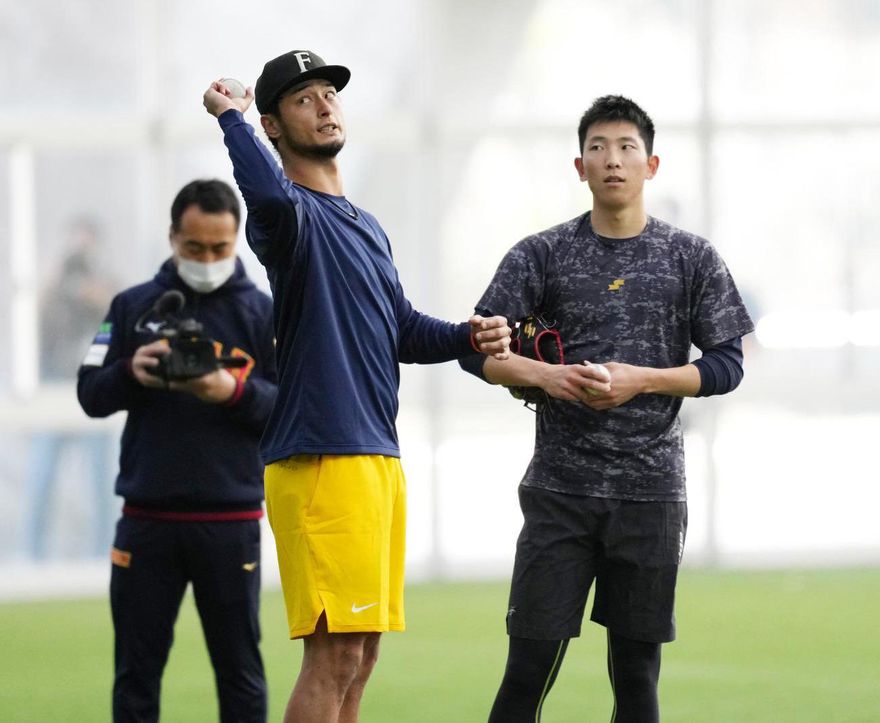 達比修有帶頭　日本WBC開訓星光閃閃　宮崎縣經濟效應「狂破百億」