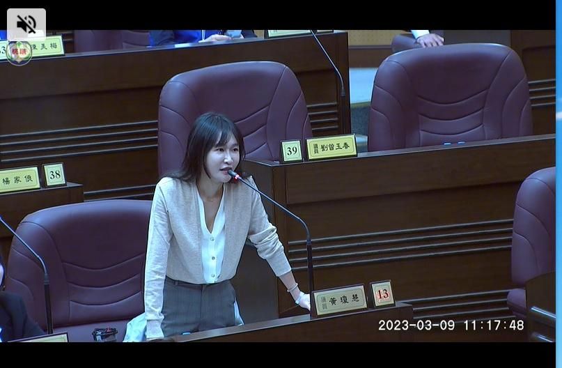 覺得我穿得漂亮的舉手？桃「鄉民女神」議員質詢網傻眼：見光死
