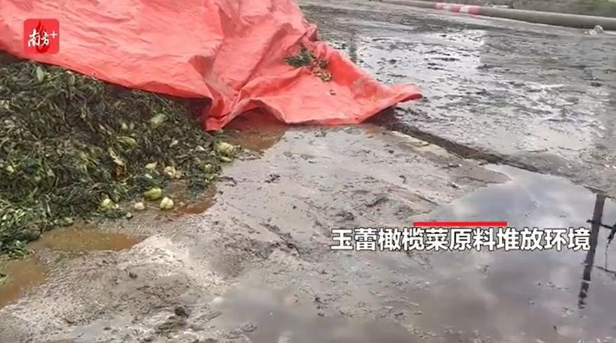 影/葉菜發黑混汙水飄「腐臭」味　陸知名醃菜廠生產環境曝光噁爆