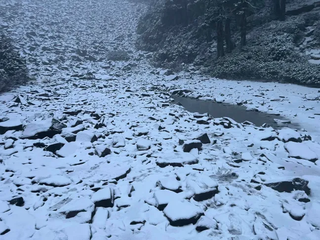 雪山也飄「3月雪」！厚度5公分步道都結冰、山友超驚喜