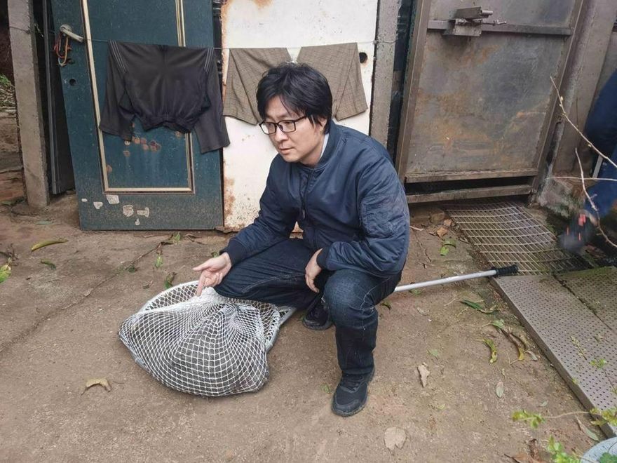 狒死之亂延燒　六福村遭爆曾叫里長刪文：如果是他們的會罰錢