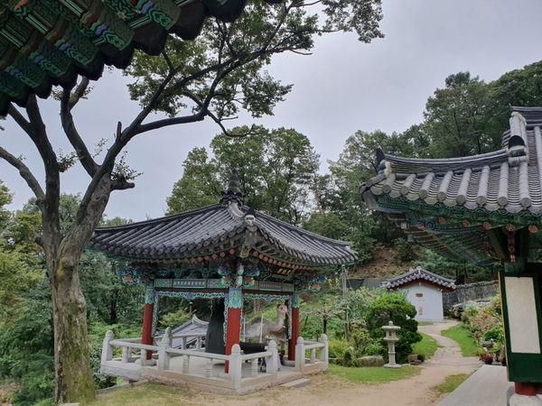 我殺人了！72歲阿公疑不滿「求愛遭拒」　用鈍器砸死傾慕對象