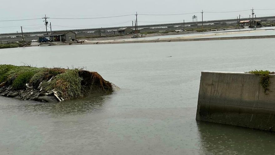 漁民崩潰！大雨後「魚塭潰堤」　虱目魚＋蝦子跑光光大喊：自由啦～