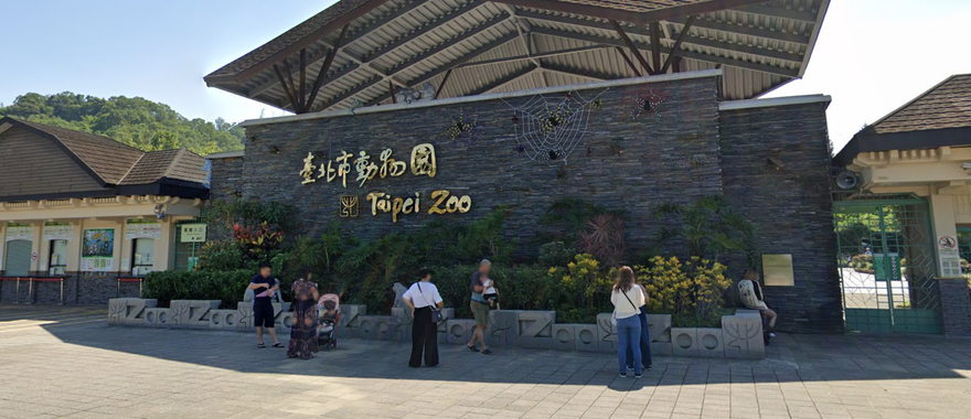 木柵動物園晚間證實！42歲非洲象「美代」離世