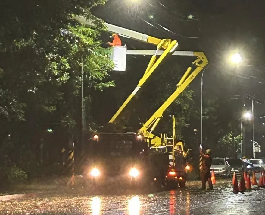 杜蘇芮災情/高雄路樹倒一片　計程車排班遭壓、民眾波及受傷