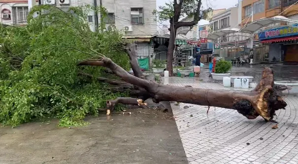 海葵颱風/氣象版的方唐鏡！它原地打轉又狂撞台灣　粉專曝其輾轉路徑