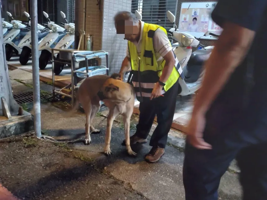 長腿狗「掙斷鐵鍊偷溜」！一路跟屁他到警局　順利重逢鏟屎官