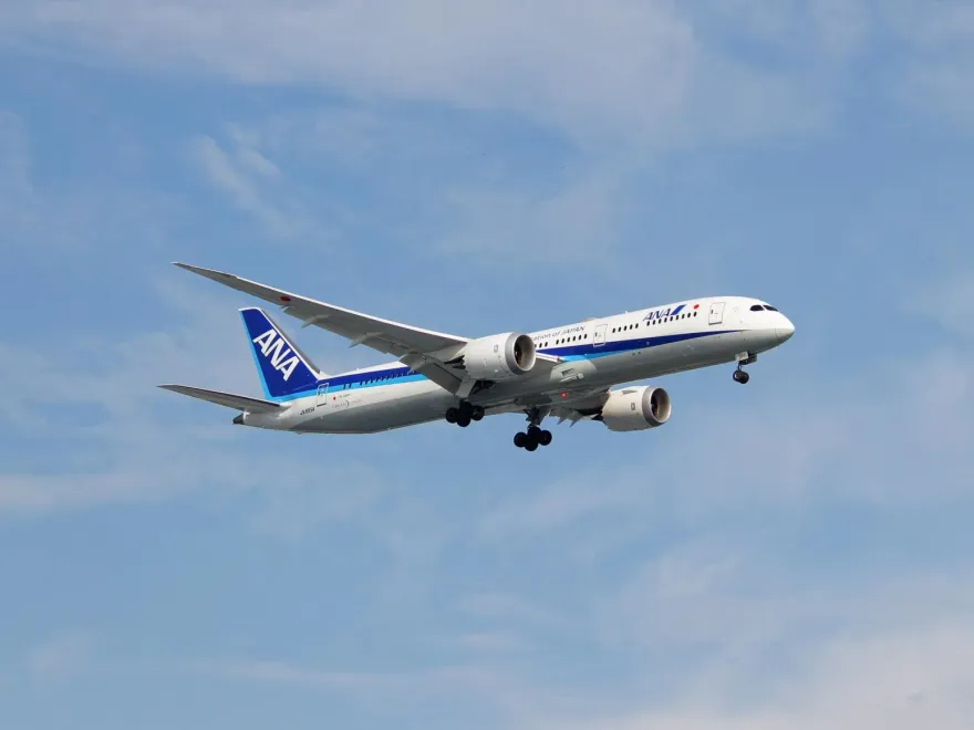 影/太平洋上空突大鬧！美籍男抓狂咬空姐　全日空機折返羽田機場急逮