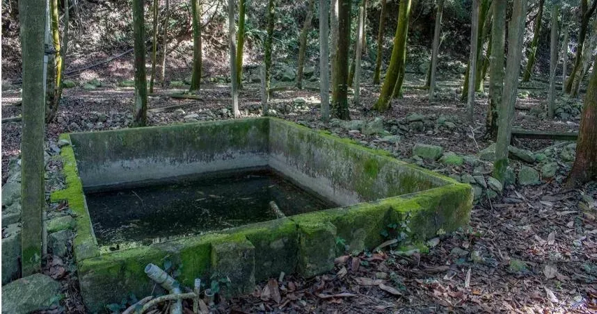 蓄水池未敲毀！13隻動物為覓食冤死　廢棄地慘成亂葬崗