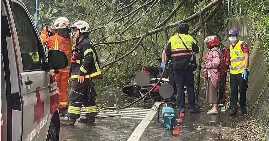 桃園龜山豪大雨釀土石滑動！ 　2騎士路過遭傾倒樹木砸中