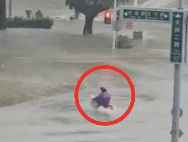 影/抗颱即戰力！高雄超猛「狗狗肉」無視豪雨洪水　海放百萬名車爽「航行」