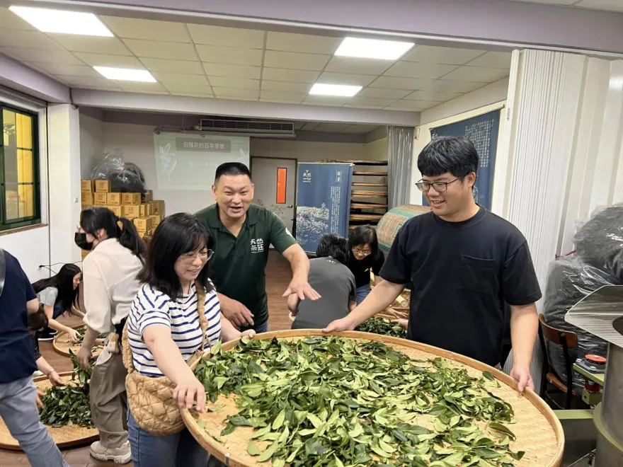 新北茶農蔡旭志傳茶香　慶祝奧運金牌父親節八八折