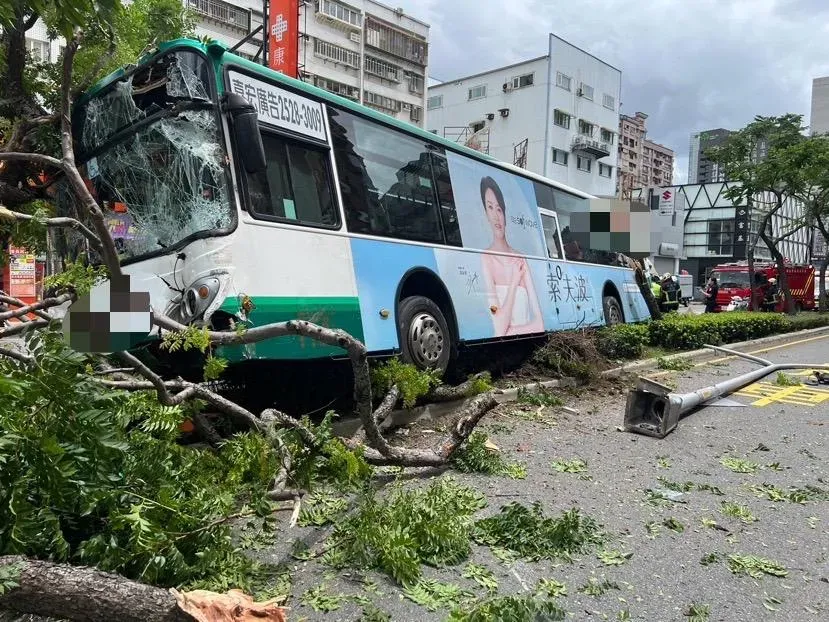 影/直擊！蘆洲公車高速衝上分隔島「掃倒整排樹」　疏散情形曝光