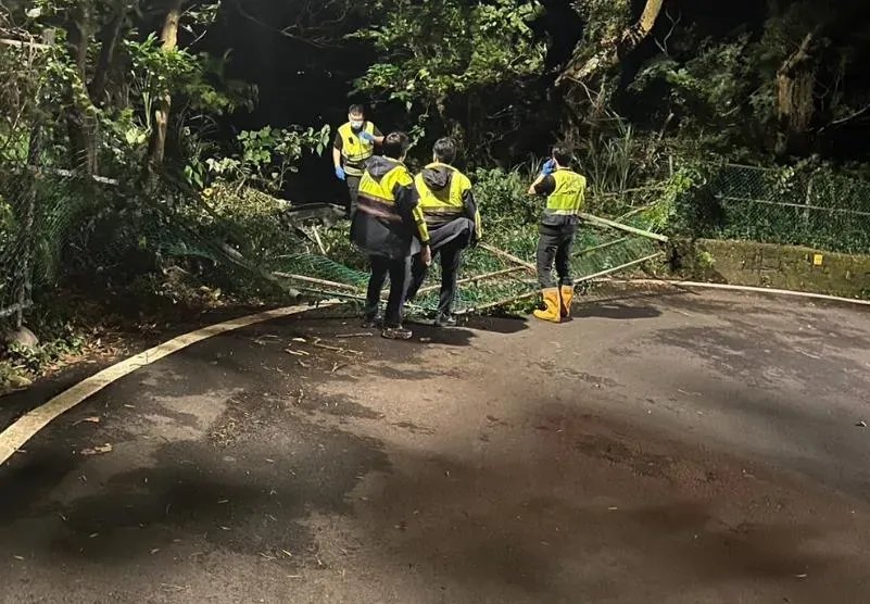 又是酒駕惹禍！五股男開車摔落30米山坡　駕駛送醫幸無礙