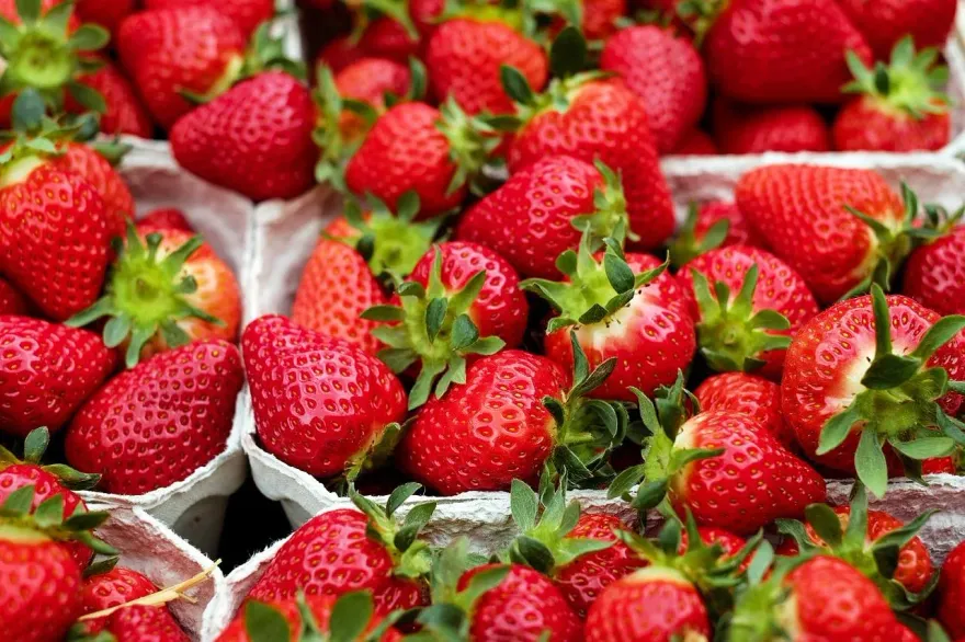 草莓新發現！每天攝取32克可預防糖尿病、心血管疾病
