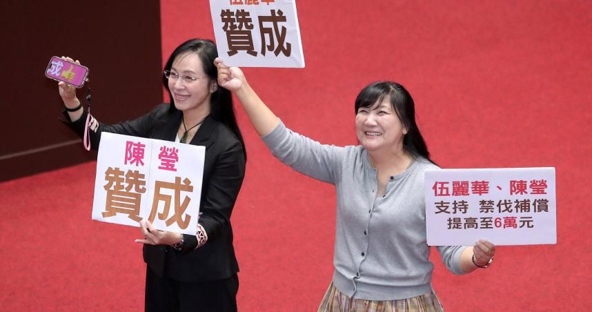 罷免陳瑩、伍麗華告吹　中選會：法定期限內未送件不受理