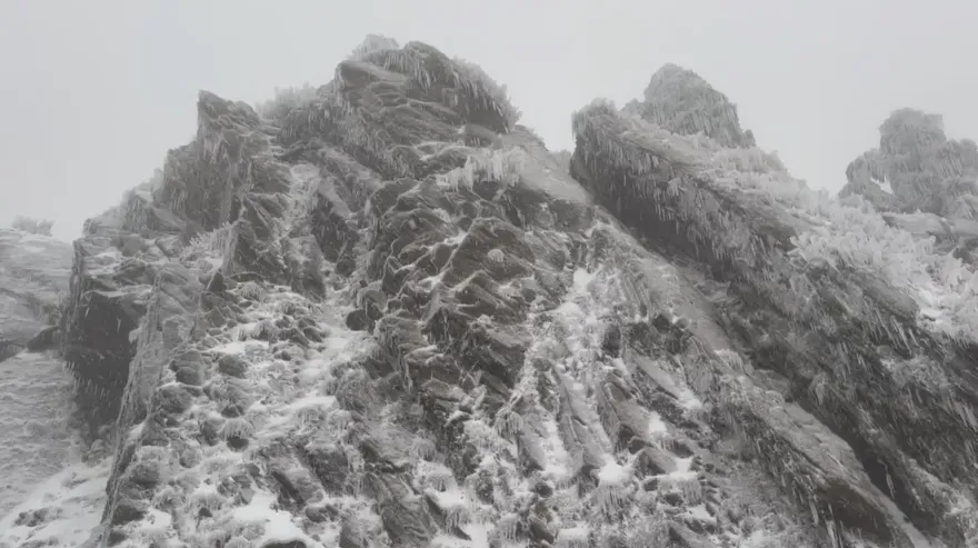 影/合歡山下雪了！武嶺成絕美銀白世界　民眾開心堆雪人