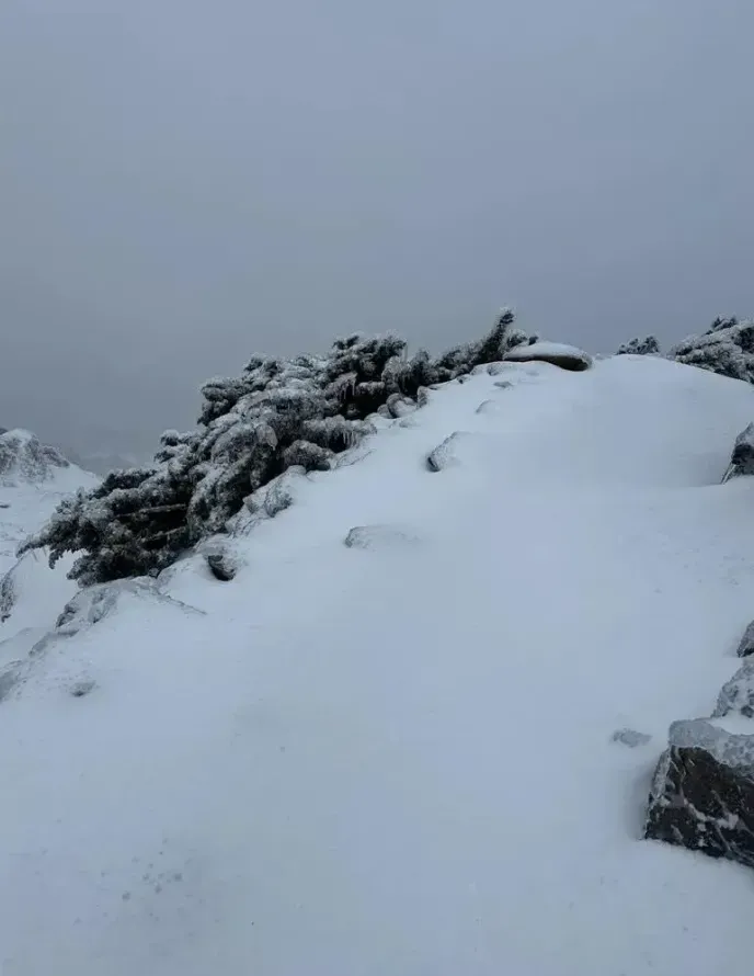 玉山山難2人墜谷亡恐是「高山症」釀禍！醫曝檢測方法