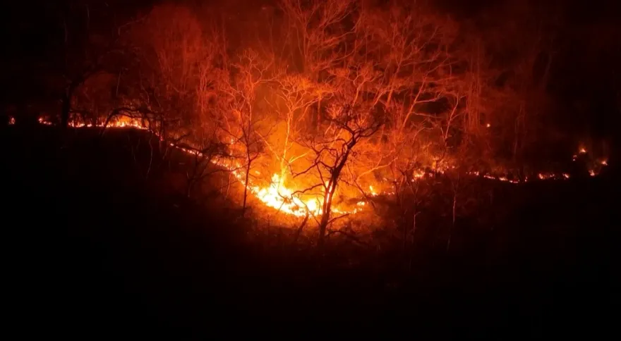 南韓山火3天燒毀「4600座足球場」　10傷亡逾千人緊急避難