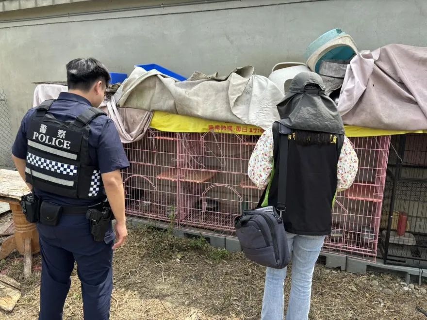 台南餐廳爆虐貓！餓死籠內慘變「3具白骨」　飼主遭送辦