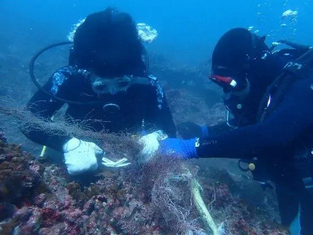 東海岸珊瑚產卵季將至　「潛海戰將」清廢漁網守護生態
