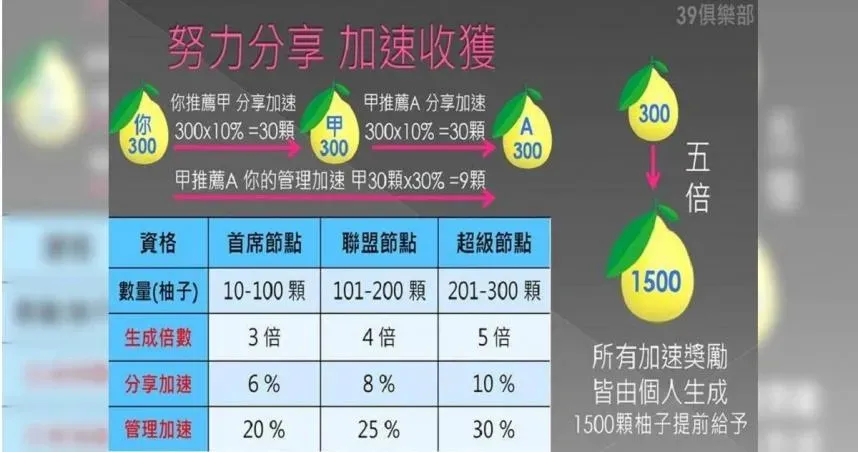 台南前扶輪社長變身詐騙首腦　柚子幣吸千萬遭羈押禁見