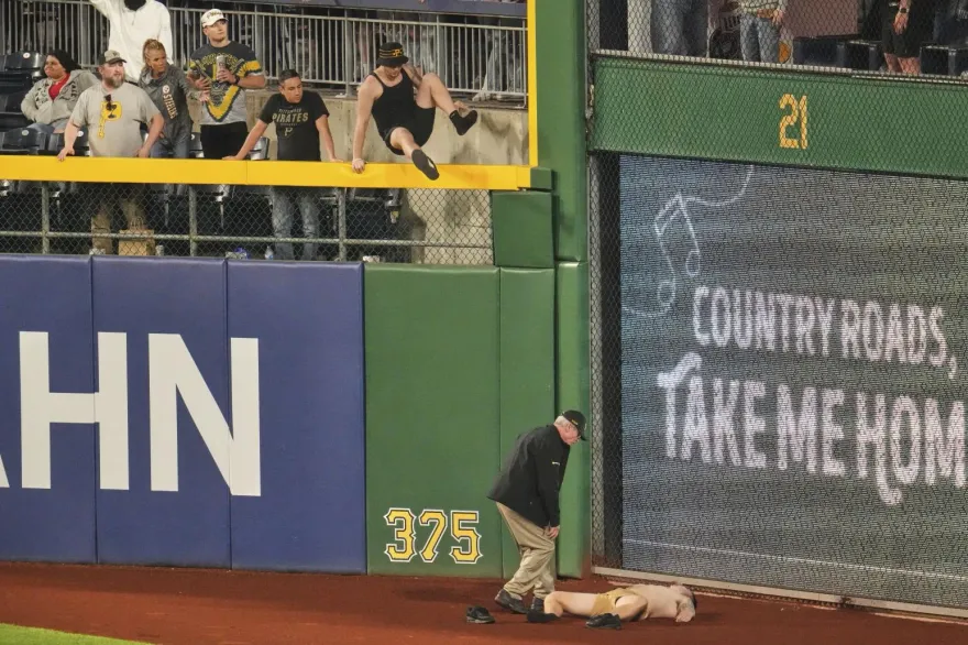 MLB/球迷突從6.4公尺看台墜落！比賽中斷　球員們跪地祈禱