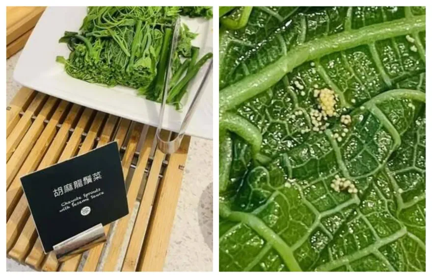 滿滿蛋白質！高雄承億酒店餐廳吃出蟲卵　業者道歉了