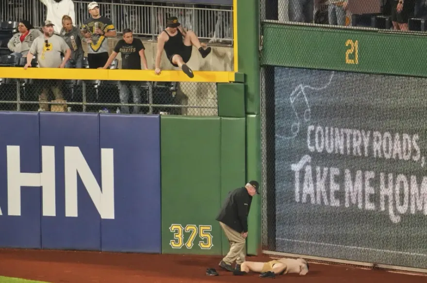 MLB/奇蹟！三層樓高看台墜落頭部著地　21歲球迷清醒了可說話