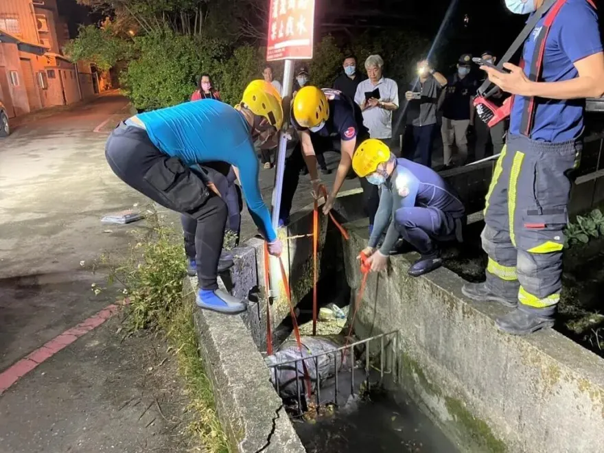 「棉被包裹」棄屍！發臭漂花蓮水圳　打開一看竟是拉布拉多