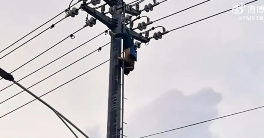 影/爬電線桿「掏鳥」….陸男被電昏倒掛15米高空嚇壞人