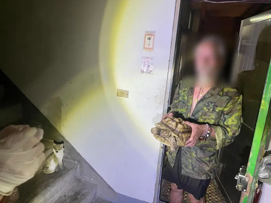 影/桃園偷象龜賊「廢墟宅」曝光！63歲翁思妻曾養164隻兔