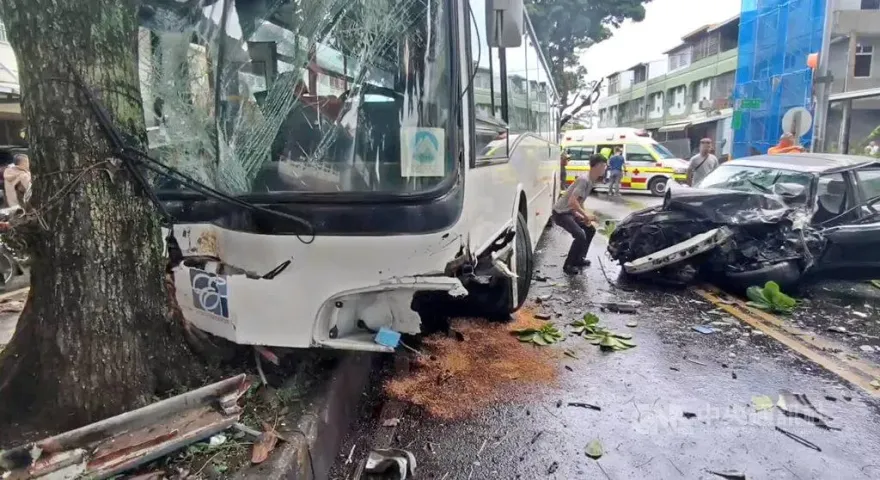 影/台東綠色隧道「轎車逆撞公車」瞬間曝　肇事駕駛救回