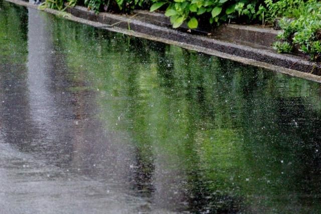 梅雨季將展開！濕氣加重「吃瓜果類」恐害濕疹變嚴重