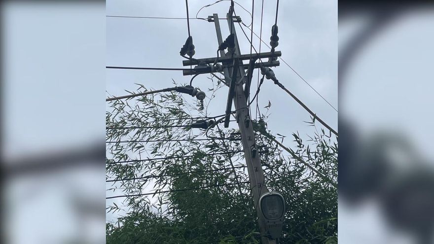 台中神岡區363戶近2小時停電！台電：竹子碰觸線路所致