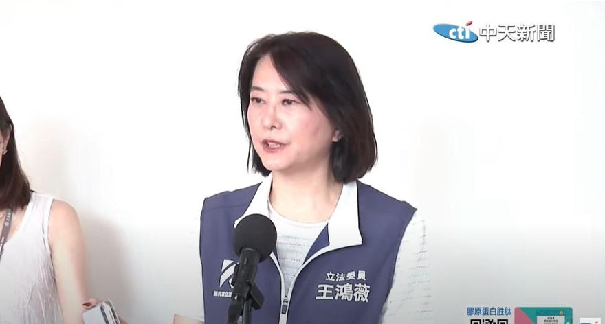 反廢死公投遭駁　王鴻薇證實：藍提案要對中選會提行政訴訟