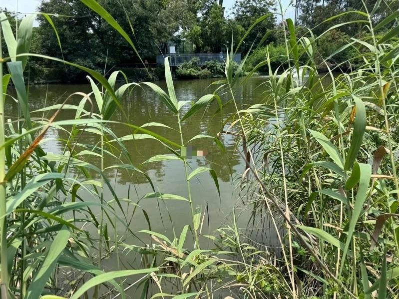 24天2人送命慘變「身亡熱點」！台南巴克禮公園又有浮屍