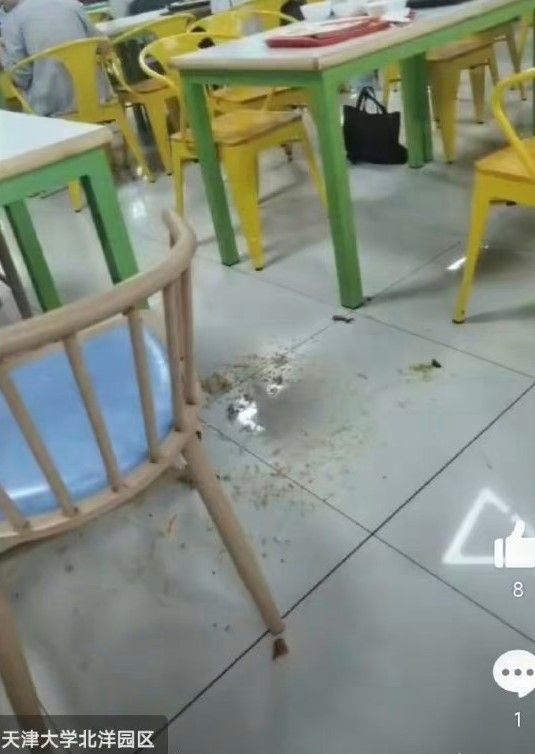 有夠衰！只因嫌「貓拉屎很臭」　男學生慘遭陌生女「飯菜蓋頭、搧巴掌」