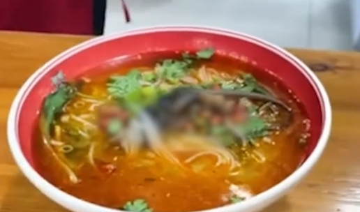 吃湯麵驚見碗中躺著「老鼠全屍」客人嚇壞　店家回應：牠從天花板掉下來的
