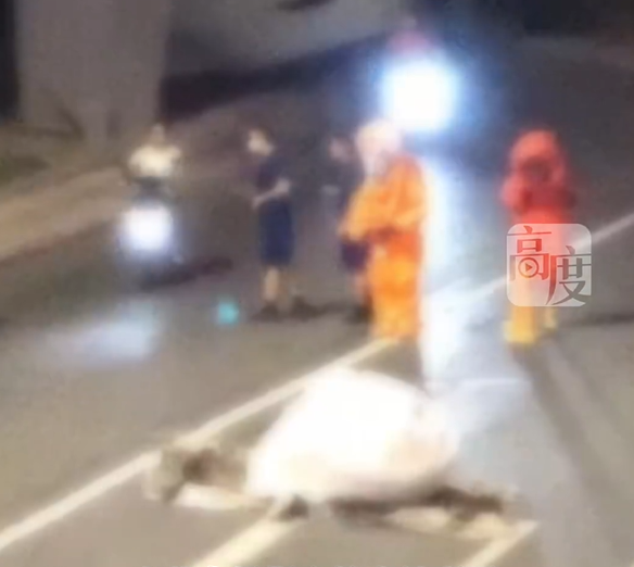 影/天降白色「不明巨物」馬路被砸出大洞　防護服警消封路排查