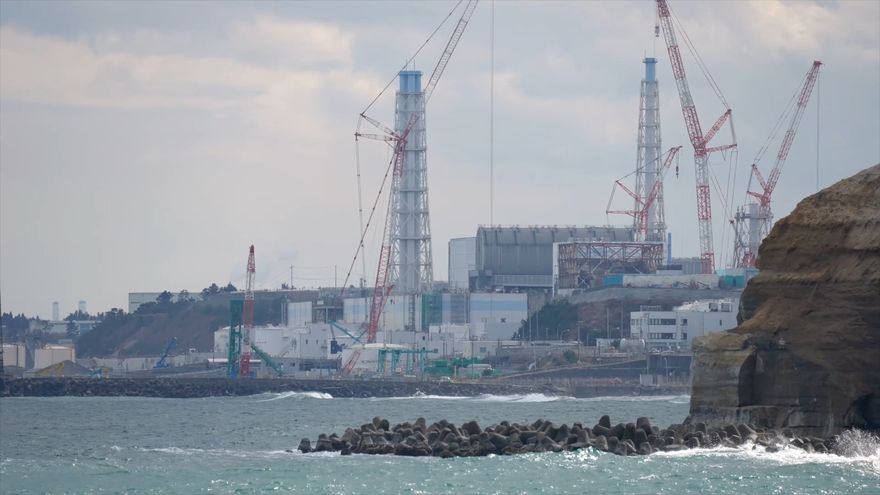 俄羅斯宣布將「加入大陸陣線」　對日本水產品進口採取限制措施