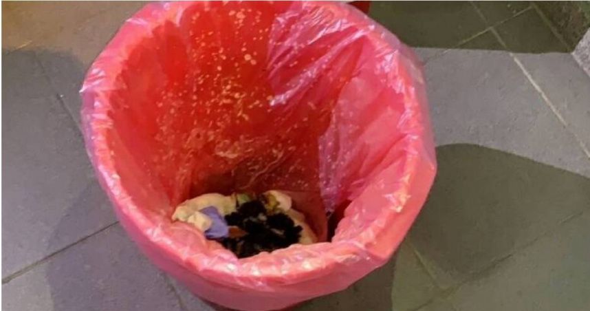 虛驚一場！台南某大學宿舍凌晨傳火警　疑未熄滅菸蒂惹禍