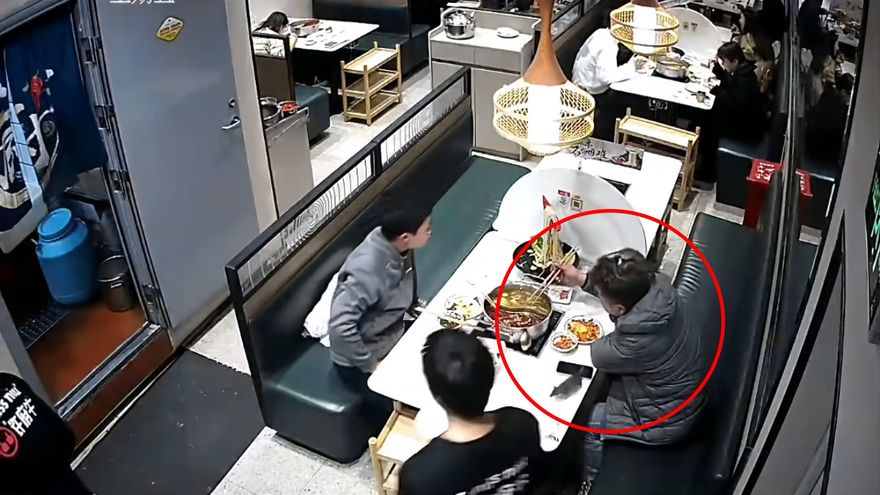 影/火鍋吃到一半突然「天降老鼠」　顧客頭皮遭抓傷控店家逃避責任