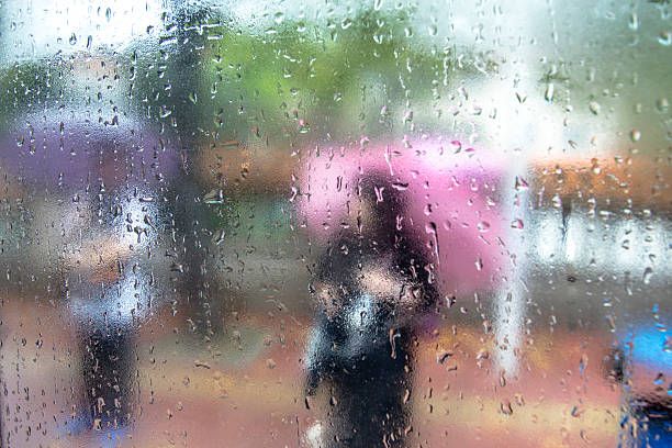 冷到周五！東北地區下陣雨　苗栗以北清晨將下探10℃