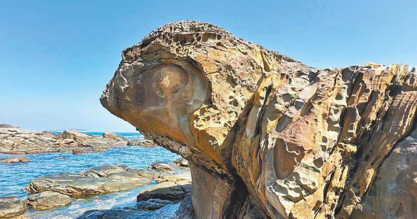 基隆外木山奇石「變色龍」爆紅！　民眾直呼：像我家Q版象龜
