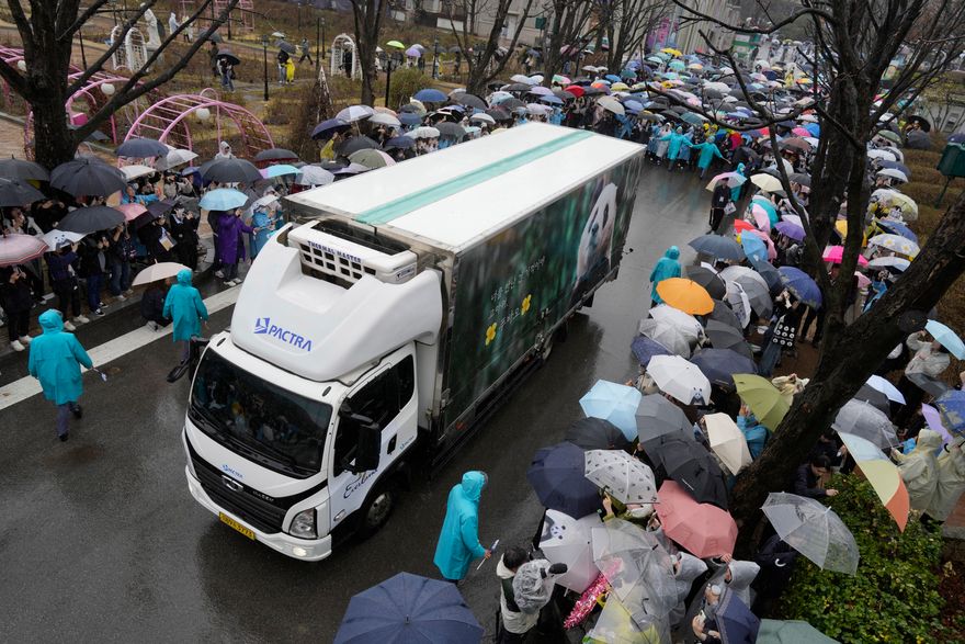 影/大貓熊福寶返陸6000民眾含淚送別　飼養員剛喪母仍堅持「一路相伴」