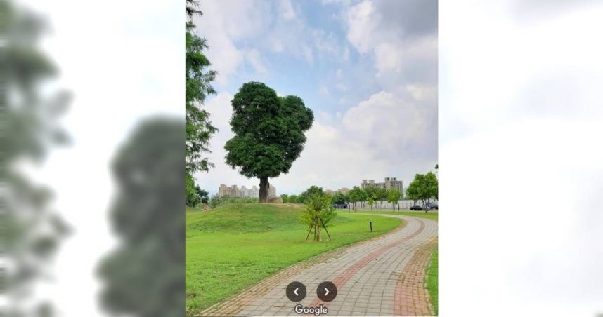 恐怖槍擊案！網美公園男子頭部中彈　全身血倒人行道身亡