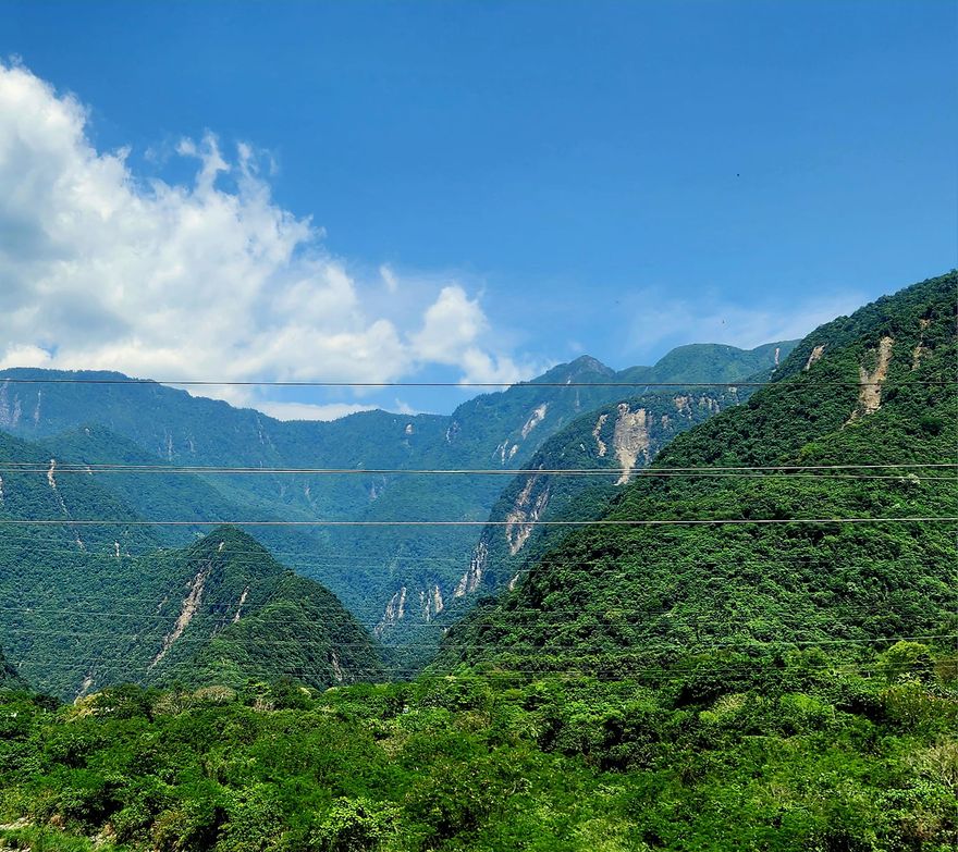 影/強震衝擊！花蓮山脈禿塊滿是傷　「神似原住民」背竹簍巡山