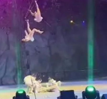 影/驚悚！福建「3雜技員」高空表演直墜地面　1人頭部重摔搶救不治